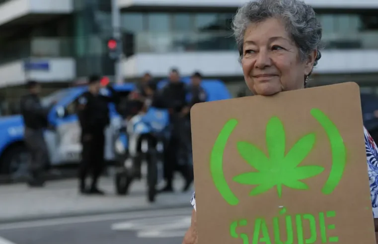 Anvisa defende manutenção de marco regulatório para cannabis medicinal