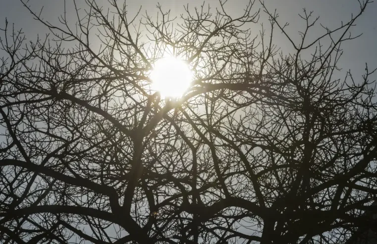 Defesa Civil de Petrópolis emite alerta via SMS de baixa umidade relativa do ar