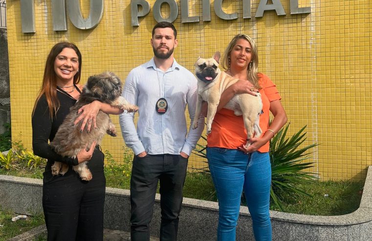 COPBEA e Polícia Civil resgatam animais vítima de maus-tratos 
