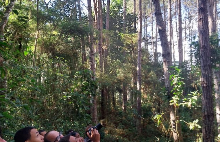 Alunos do Colégio Estadual Euclydes da Cunha realizam atividades relacionadas à Observação de Aves no Parque Natural Municipal Montanhas de Teresópolis