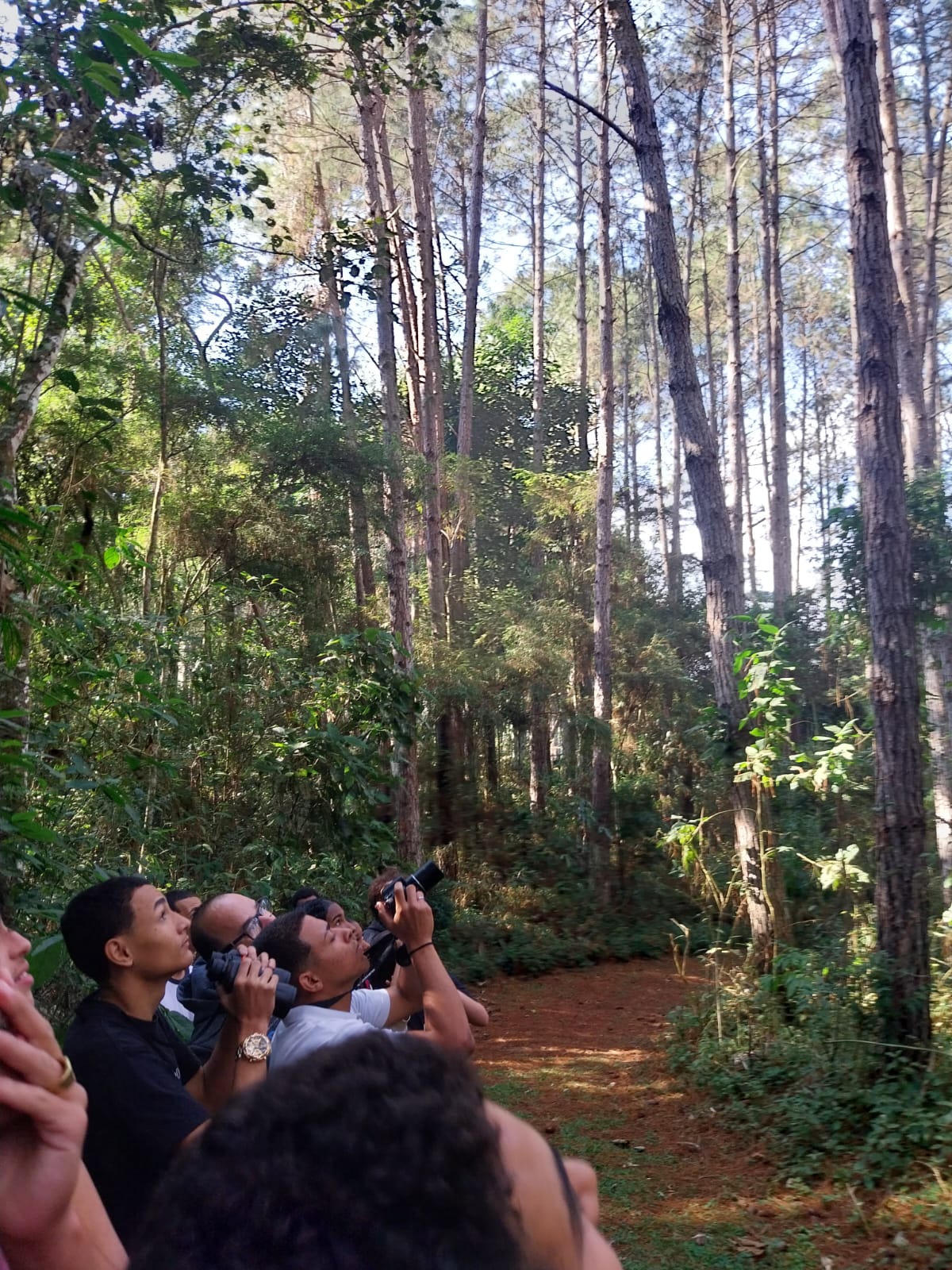Alunos do Colégio Estadual Euclydes da Cunha realizam atividades relacionadas à Observação de Aves no Parque Natural Municipal Montanhas de Teresópolis