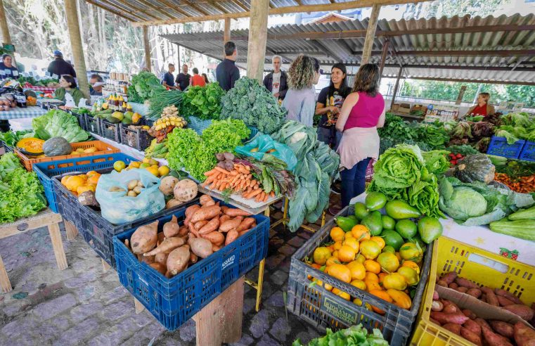 Produtores rurais e clientes aprovam novo espaço da Feira Agroecológica de Teresópolis