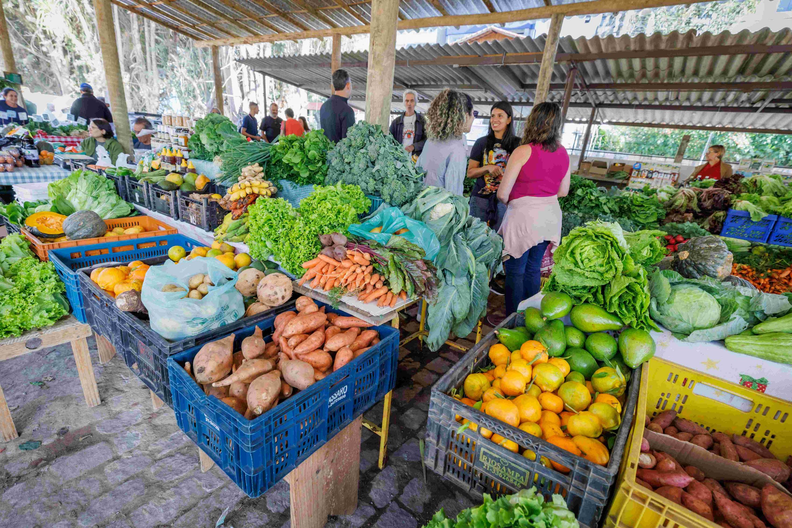 Produtores rurais e clientes aprovam novo espaço da Feira Agroecológica de Teresópolis