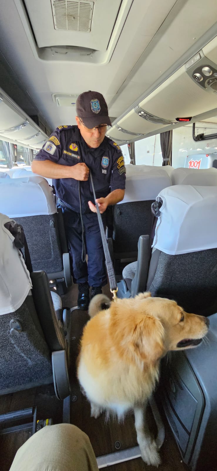 Cão Chico, da Guarda Civil de Petrópolis, participará de competição em São Paulo