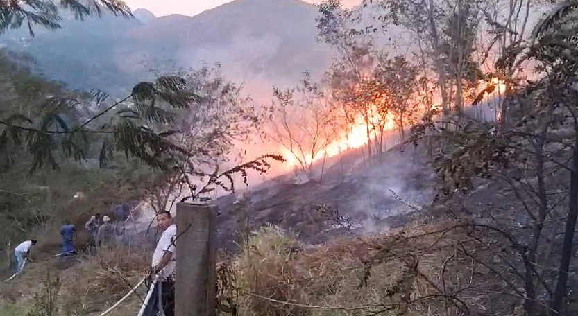 Incêndios em vegetação atingem as regiões de Corrêas e Floresta, em Petrópolis, na quinta-feira