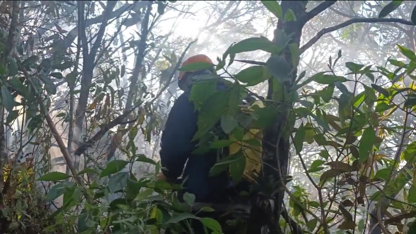 Corpo de Bombeiros combate incêndio em Petrópolis