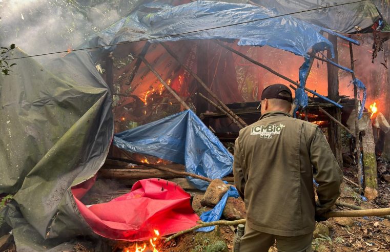 PF e ICMBio deflagram a Operação Tinguá I para combater a caça na Mata Atlântica.