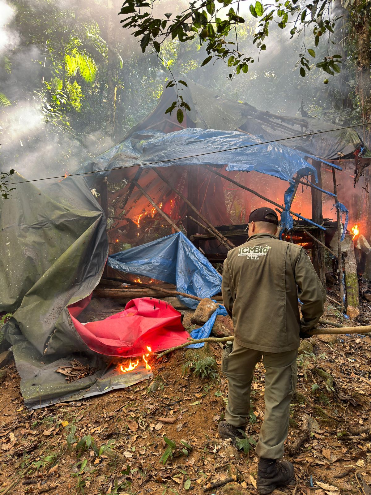 PF e ICMBio deflagram a Operação Tinguá I para combater a caça na Mata Atlântica.