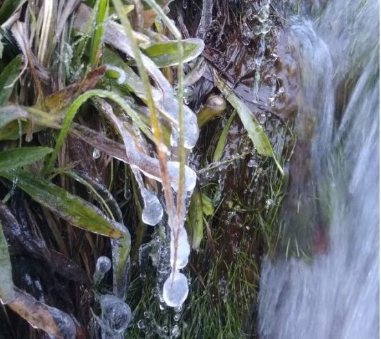 Parque do Itatiaia registrou -9,2 graus, a menor temperatura deste ano