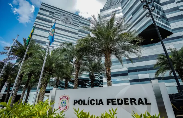 Operação combate desmatamento criminoso na Amazônia Legal