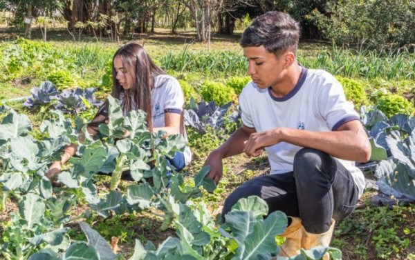 Projeto de Horta Urbana incentiva alimentação saudável em Friburgo