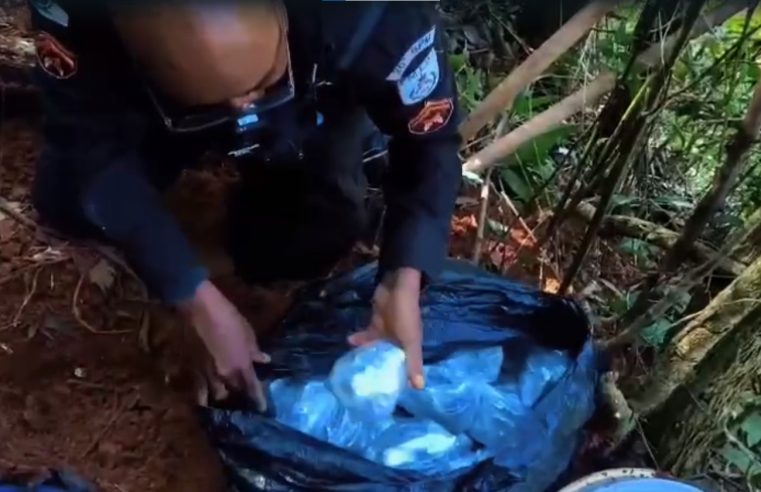 Mais de duas mil cápsulas de cocaína e 2,1 mil tiras de maconha são apreendidas no Vale da Lua, em Petrópolis