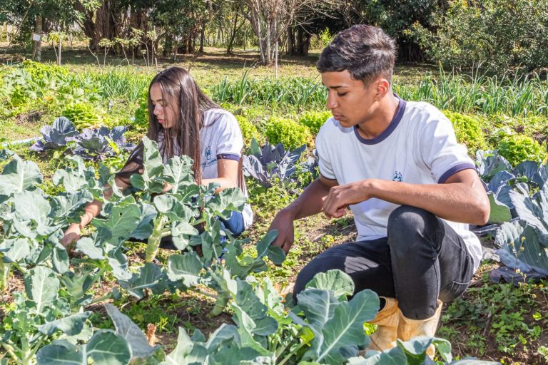 Projeto de Horta Urbana incentiva alimentação saudável em Nova Friburgo