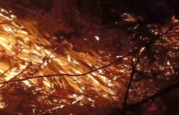 Incêndio atinge região do Bela Vista, em Petrópolis, nesta madrugada