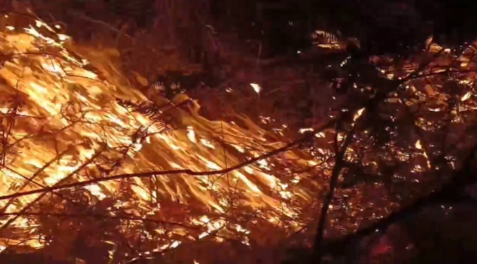 Incêndio atinge região do Bela Vista, em Petrópolis, nesta madrugada