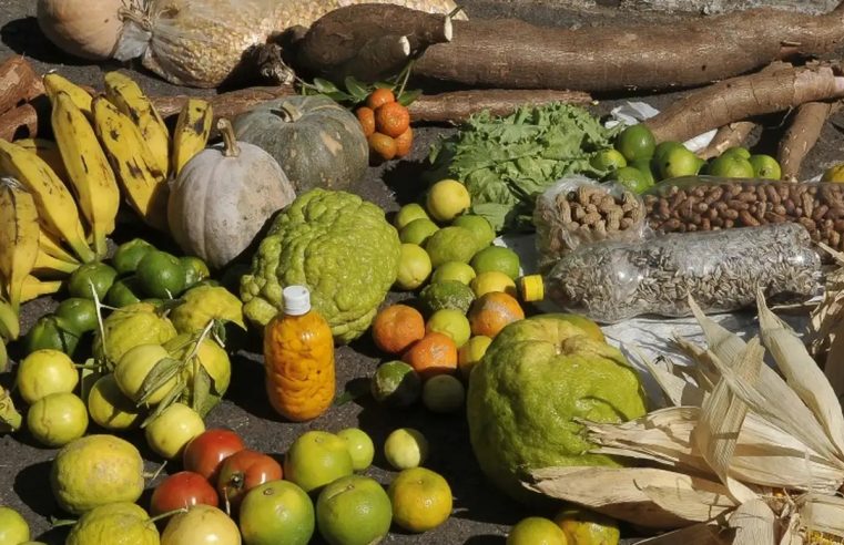 Comissão de controle de agrotóxicos deve ser regulamentada em breve