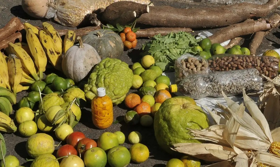 Comissão de controle de agrotóxicos deve ser regulamentada em breve