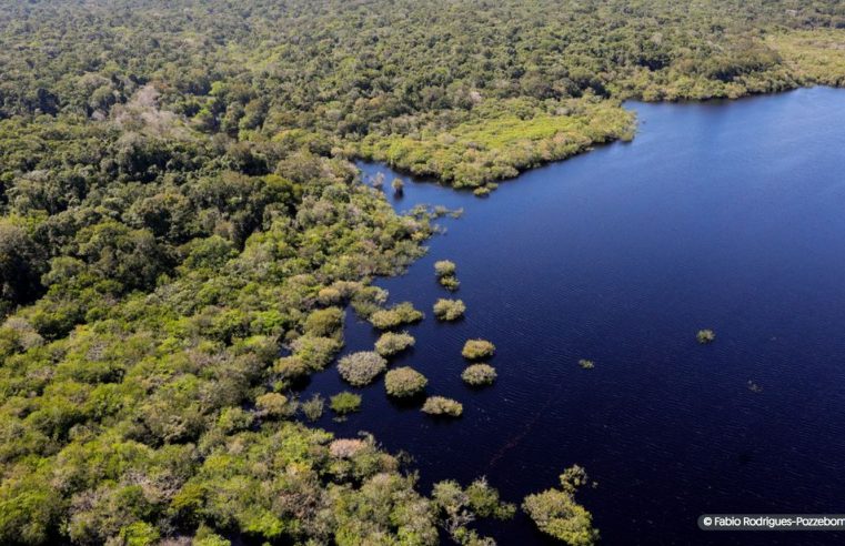 Criação do Museu das Amazônias é lançada em Belém