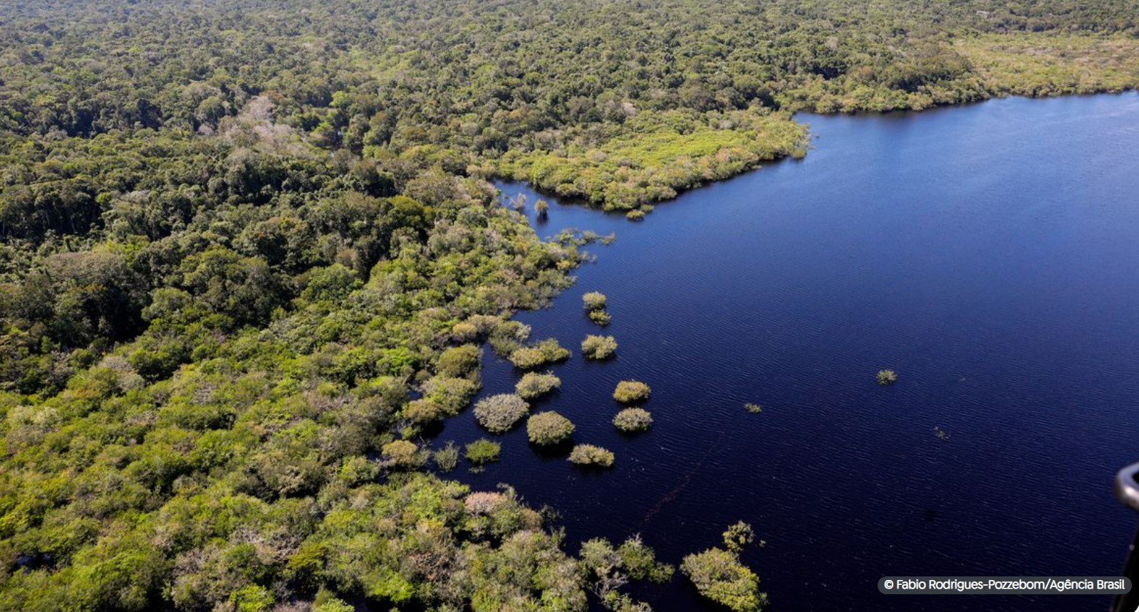 Criação do Museu das Amazônias é lançada em Belém
