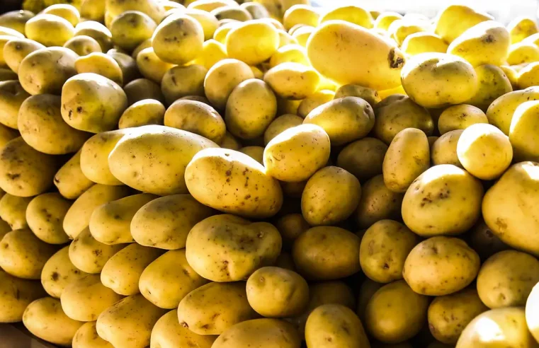 Batata-inglesa e leite longa vida puxam inflação em junho