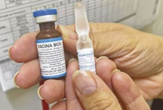 Petrópolis alcança 84,91% da cobertura vacinal da BCG