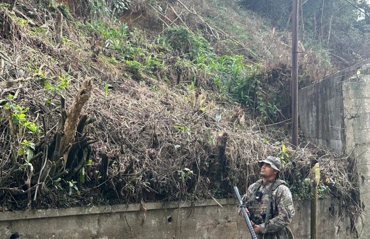 Polícia Ambiental identifica árvores cortadas sem autorização em bairro de Petrópolis após informação feita ao Linha Verde
