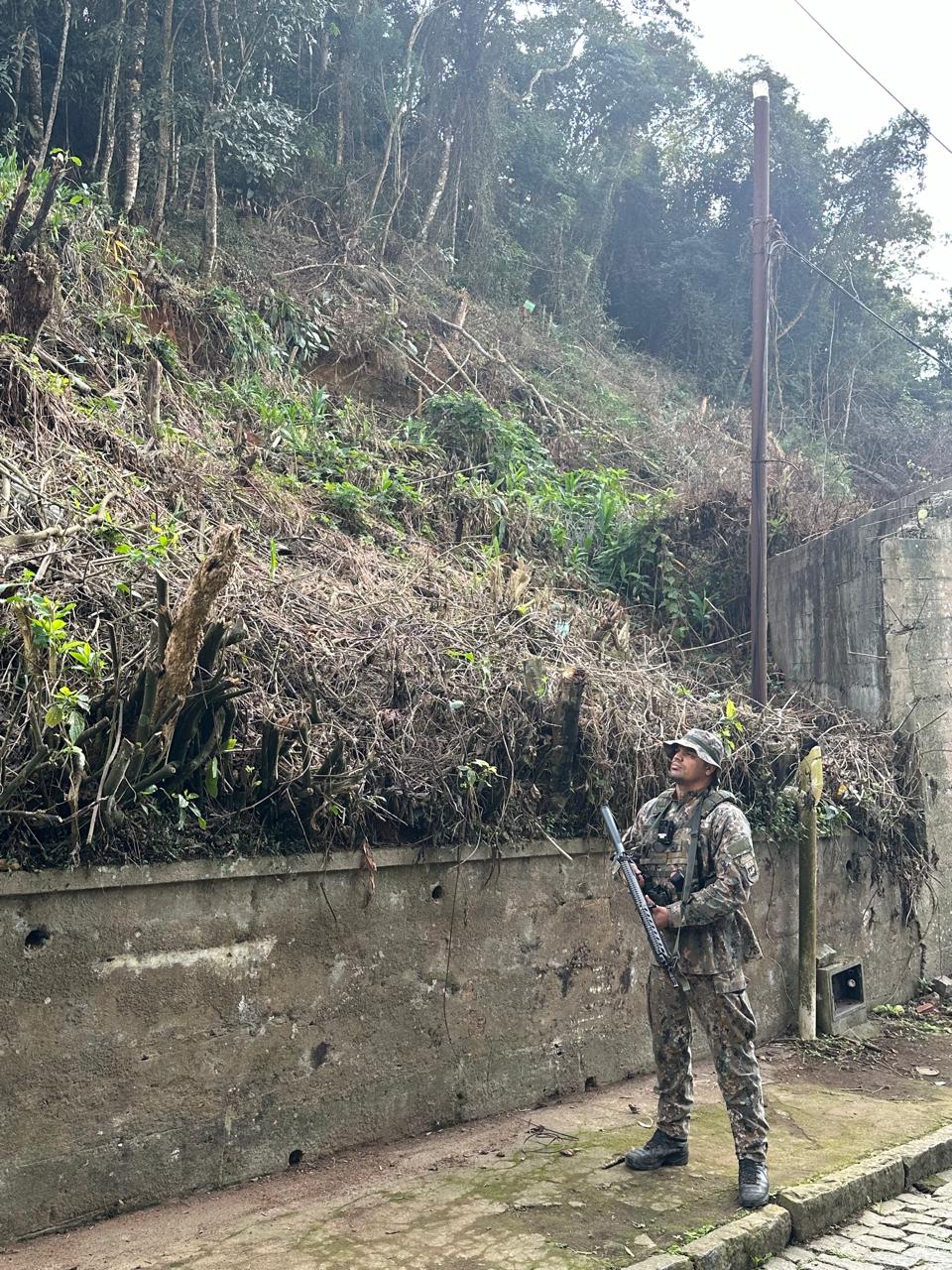 Polícia Ambiental identifica árvores cortadas sem autorização em bairro de Petrópolis após informação feita ao Linha Verde