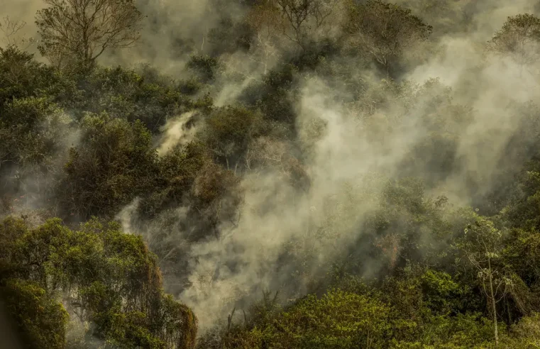 Incêndios podem ter degradado 9% do Pantanal nos últimos cinco anos