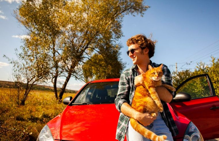 Dicas essenciais para viajar com seu pet nas férias