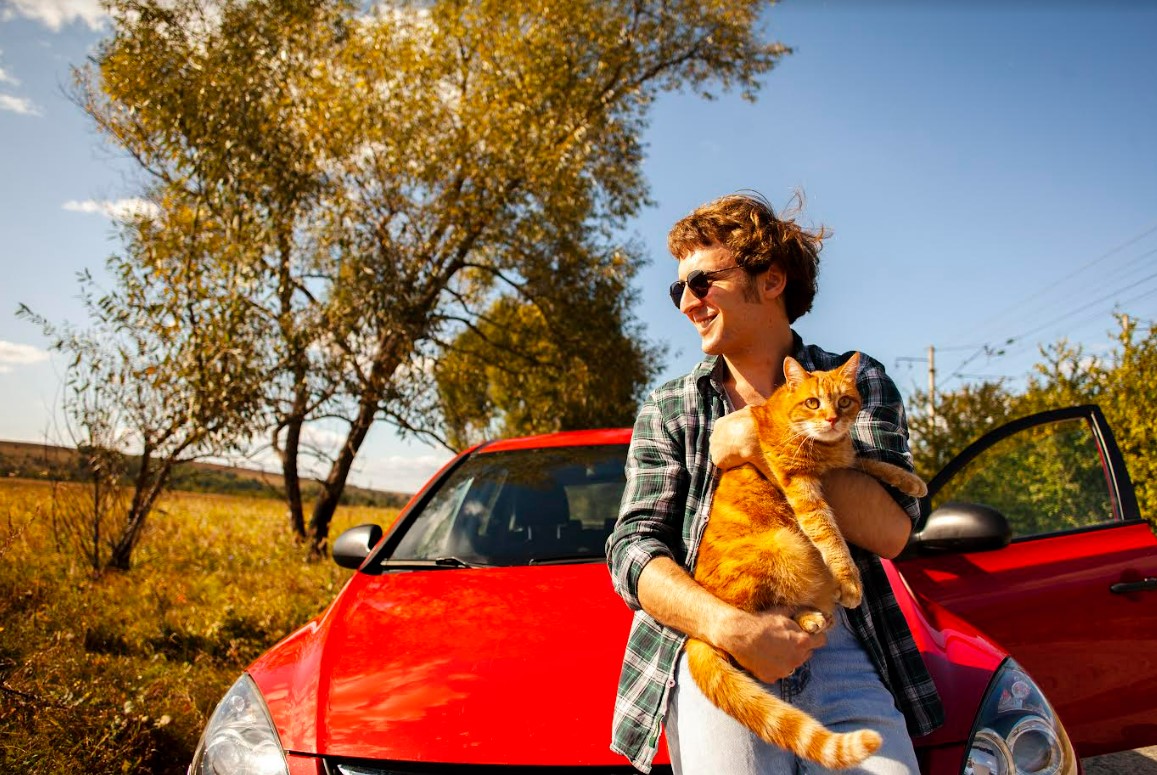 Dicas essenciais para viajar com seu pet nas férias
