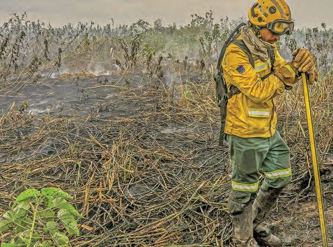 Crise Climática: O país ainda pode se proteger?