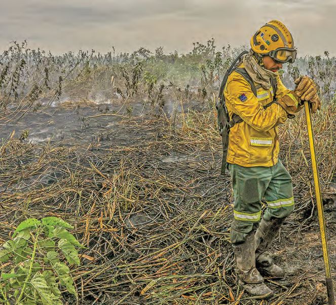 Crise Climática: O país ainda pode se proteger?