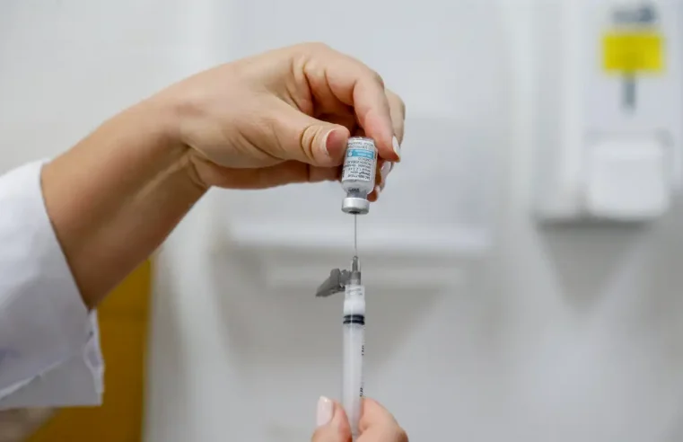 Dengue: Brasil tem, em 6 meses, 6,1 milhões de casos e 4,2 mil mortes