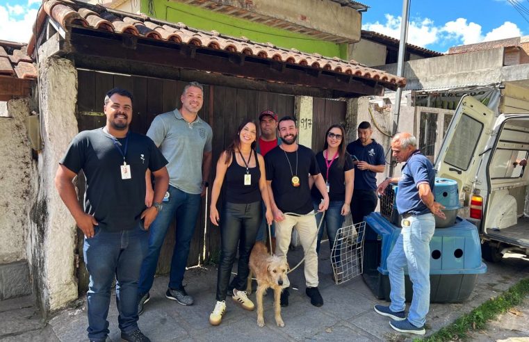 COPBEA e Polícia Civil resgatam cão abandonado em Teresópolis