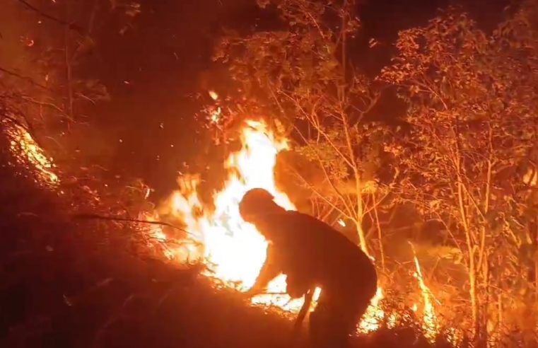 Incêndio dizima área de grande porte no Taquaril, na Posse.