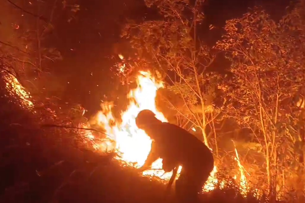 Incêndio dizima área de grande porte no Taquaril, na Posse.
