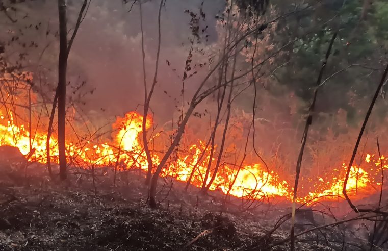 Incêndio destrói 6km de vegetação no distrito da Posse, em Petrópolis