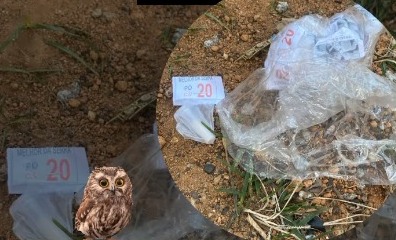 Homem é preso por tráfico drogas na 24 de Maio, em Petrópolis