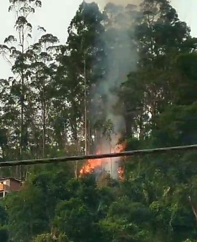 Incêndio em vegetação é registrado no Itamaraty