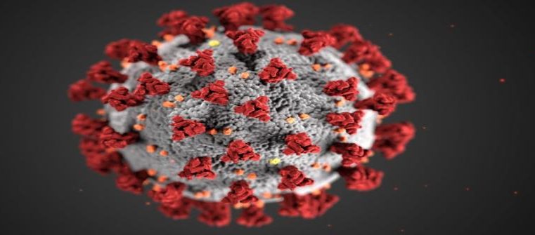 Panorama Covid-19: boletim destaca aumento na taxa de positividade e atendimento nas UPAs