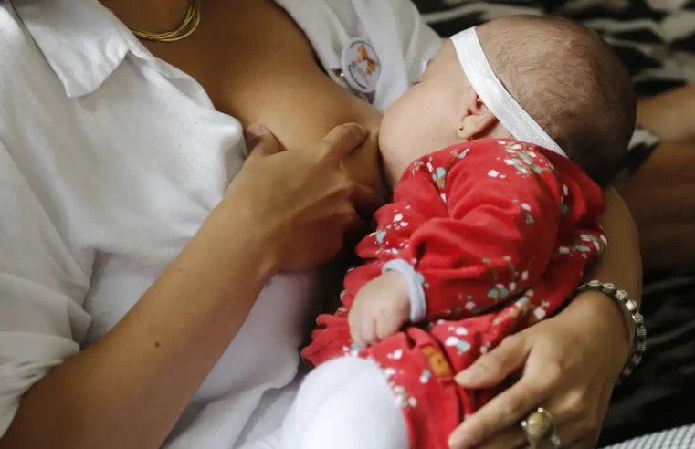Creches e escola de educação infantil devem promover aleitamento