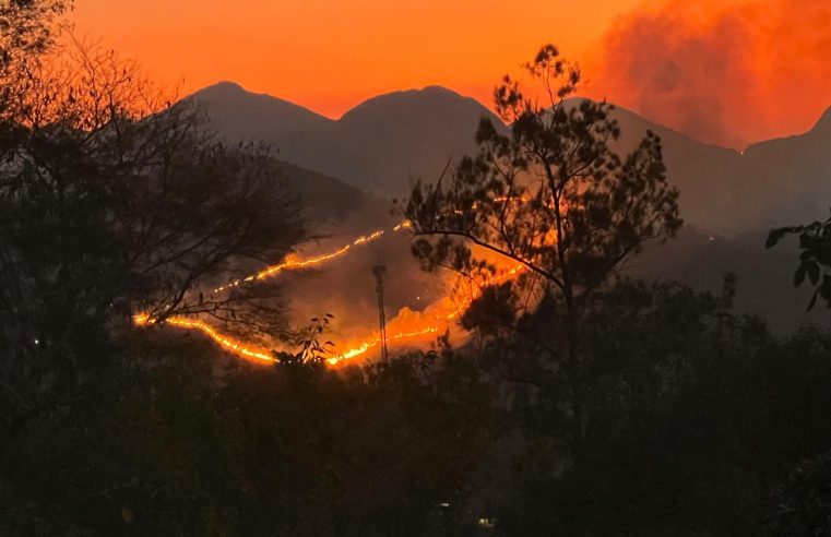 Incêndio de grande proporção atinge área de mata em Nogueira