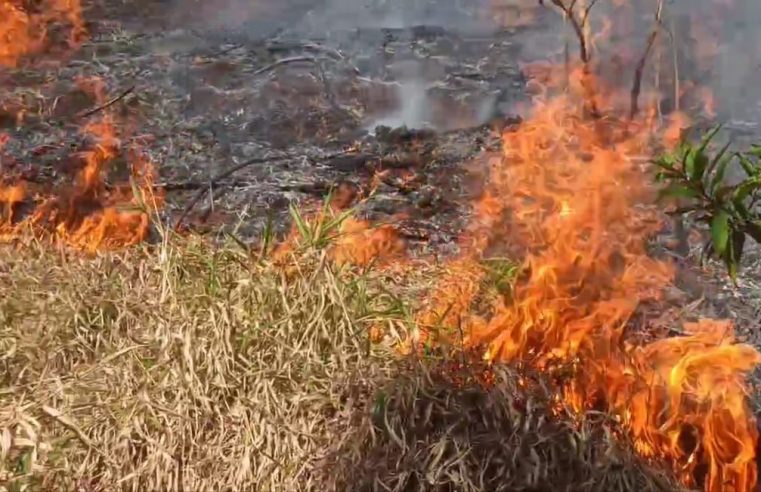 Incêndio atinge a mata no Provisória, em Perópolis