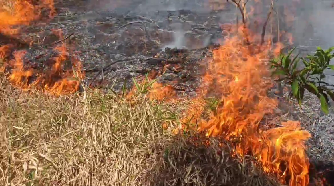 Incêndio atinge a mata no Provisória, em Perópolis