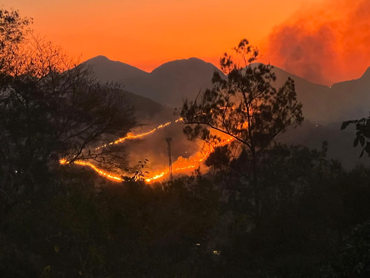 Incêndio de grande proporção atinge área de mata em Nogueira