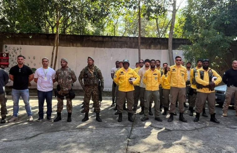 Inea intensifica ações contra incêndios florestais no RJ com o programa Fumaça Zero