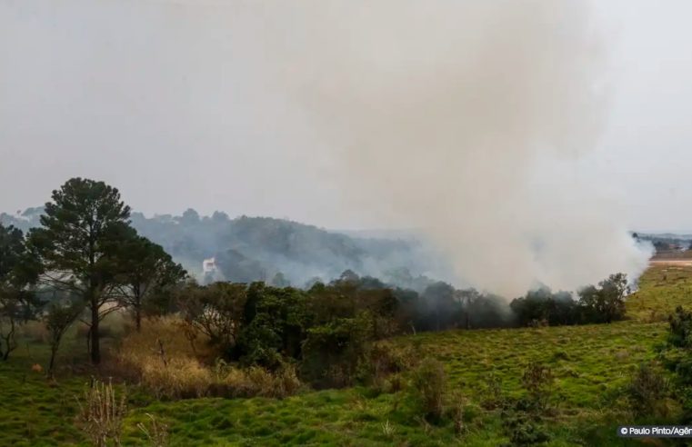 Sobe para dez número de presos por queimadas em São Paulo