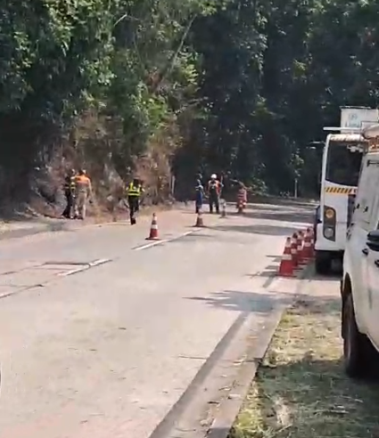 Subida da serra de Petrópolis poderá ser interditada para corte de árvore