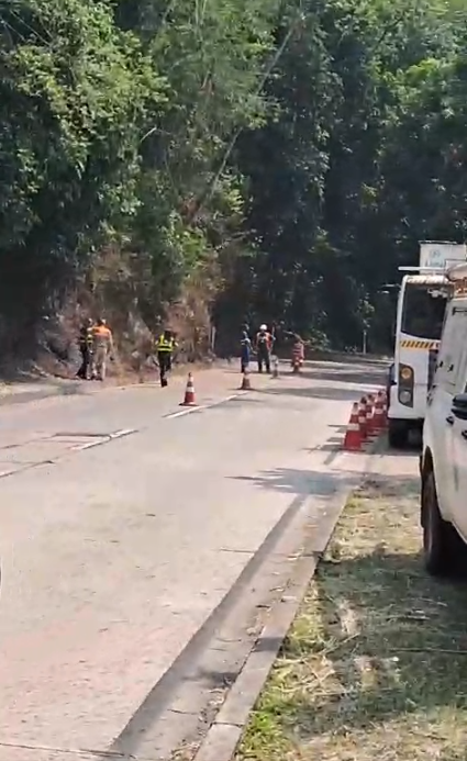 Subida da serra de Petrópolis poderá ser interditada para corte de árvore