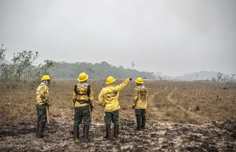 Dino estabelece orçamento de emergência para combate a incêndios